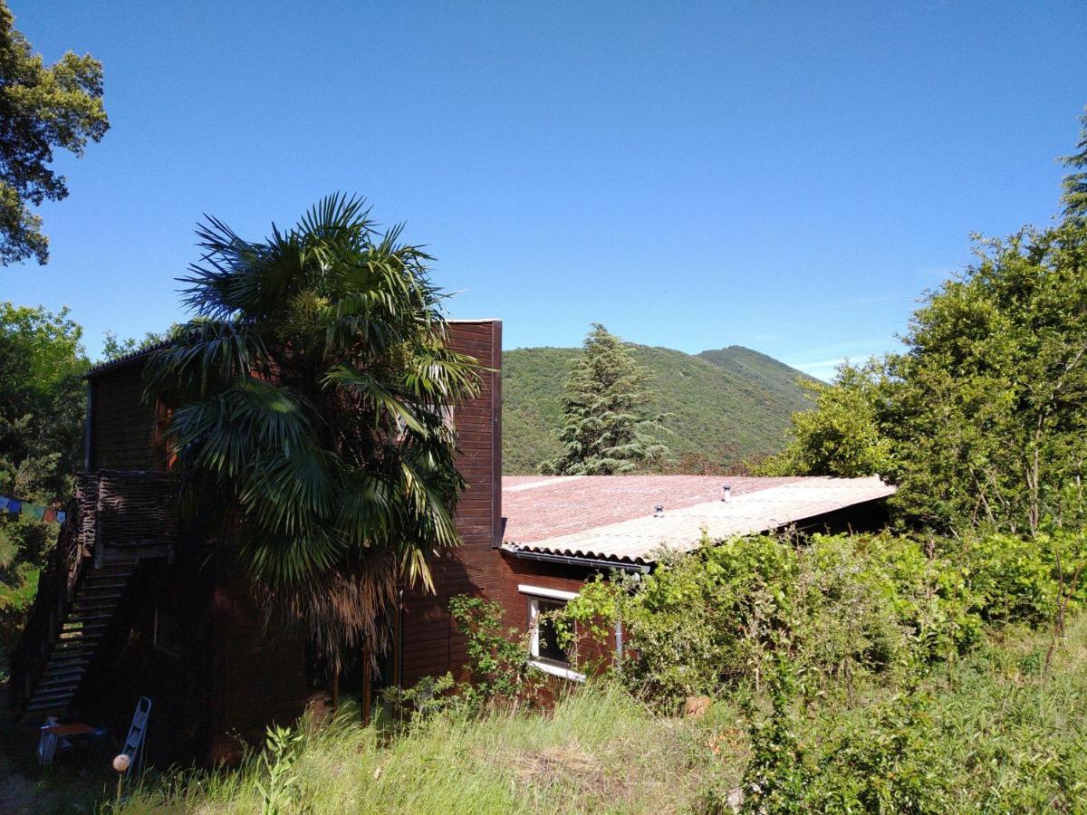 瓦勒罗盖Pura Vida住宿加早餐旅馆 外观 照片